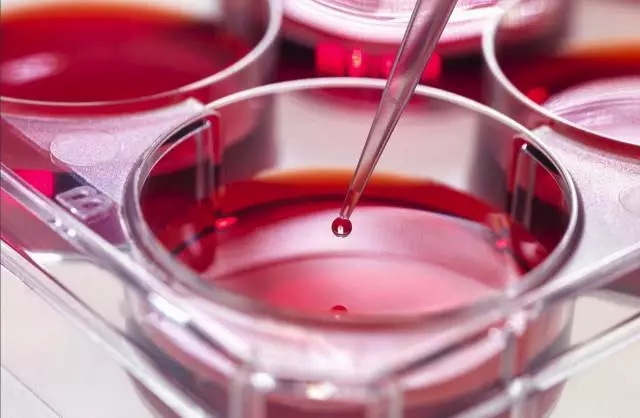 自动微型化三维细胞培养系统