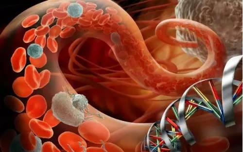 国际领先的NGS液体活检技术及服务项目