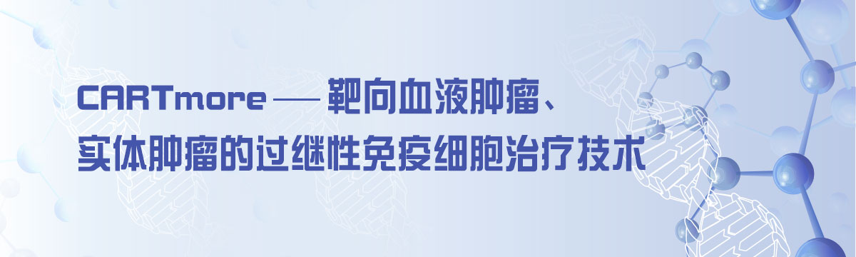 CARTmore—靶向血液肿瘤、实体肿瘤的过继性免疫细胞治疗技术